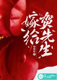 嫁给贺先生